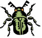 escarabajo1