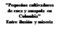 Zone de Texte: "Pequeños cultivadores de coca y amapola en Colombia” 
Entre ilusión y miseria

